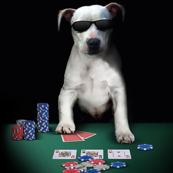 Casino MK poker